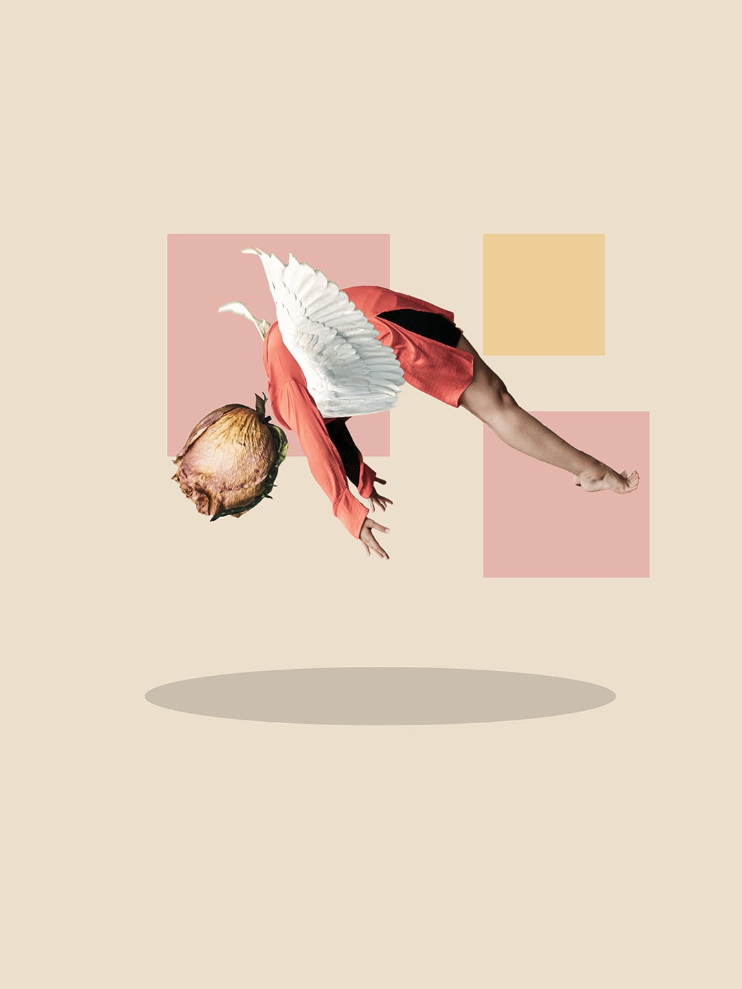 Surreal digital collage titled Shooting Stars, Strange Bazaars, featuring a person with a dried rose flower head and wings falling from the sky by Mushroomalice MUMA