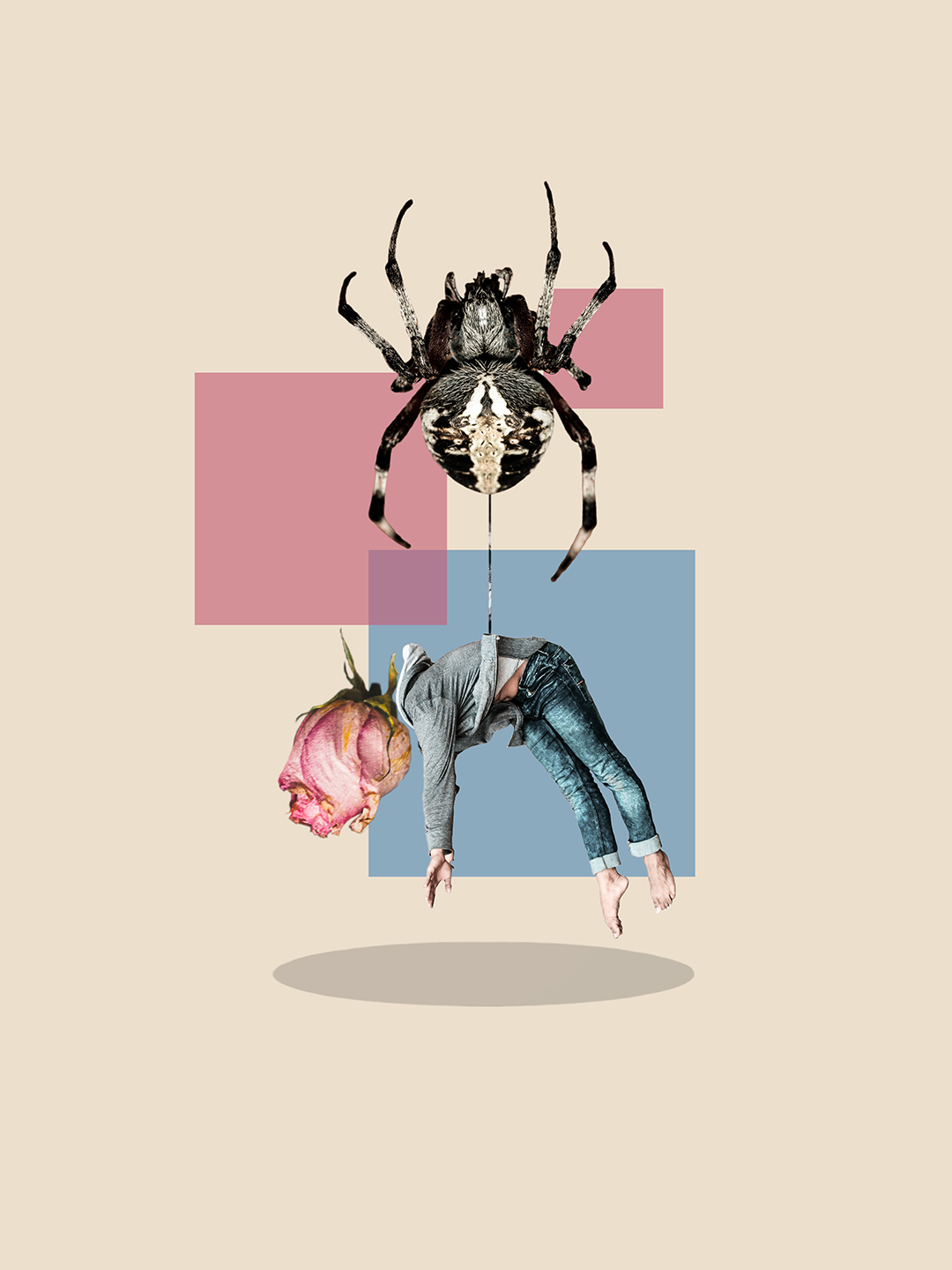Surreal digital collage titled Beside You, In Full View, featuring a giant spider suspending a figure with flower head in mid air by a thread of web by Mushroomalice MUMA