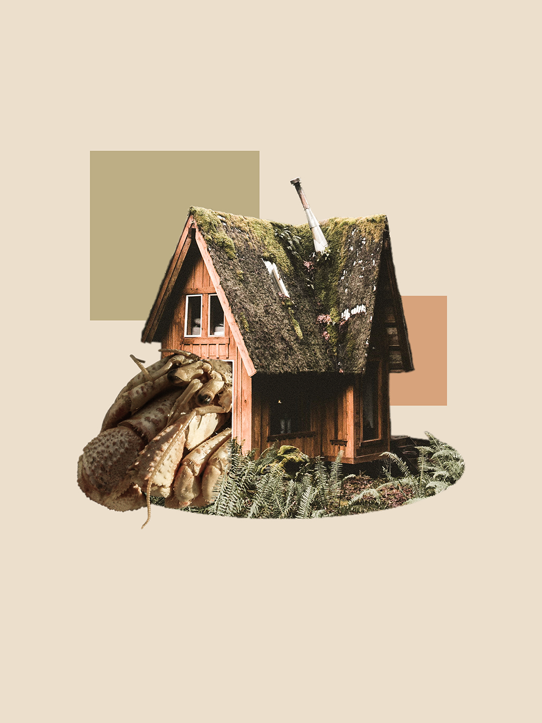 Surreal digital collage titled Search for Me, with Cheers and Glee, featuring a giant hermit crab sticking through the front door of a small cottage house by Mushroomalice MUMA